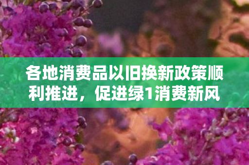 各地消费品以旧换新政策顺利推进，促进绿1消费新风尚