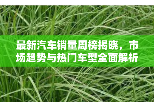最新汽车销量周榜揭晓，市场趋势与热门车型全面解析