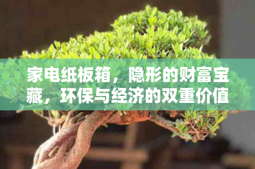 家电纸板箱，隐形的财富宝藏，环保与经济的双重价值