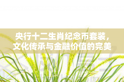 央行十二生肖纪念币套装，文化传承与金融价值的完美融合