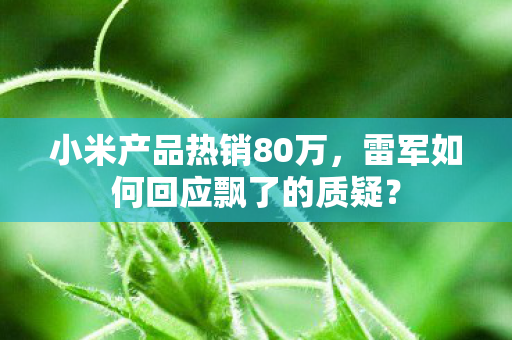 小米产品热销80万，雷军如何回应飘了的质疑？