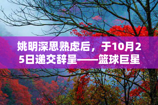 姚明深思熟虑后，于10月25日递交辞呈——篮球巨星告别舞台，引发各界关注