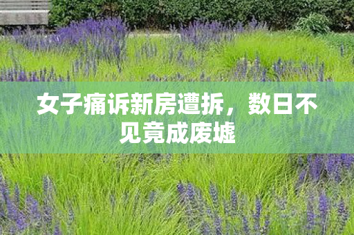 女子痛诉新房遭拆，数日不见竟成废墟