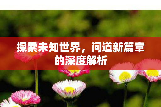 探索未知世界，问道新篇章的深度解析
