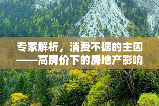 专家解析，消费不振的主因——高房价下的房地产影响