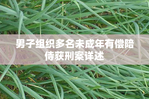 男子组织多名未成年有偿陪侍获刑案详述
