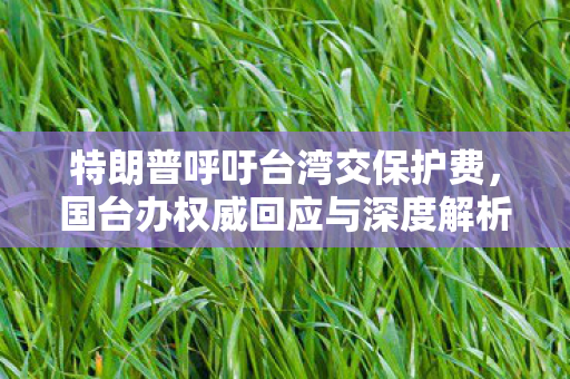 特朗普呼吁台湾交保护费，国台办权威回应与深度解析