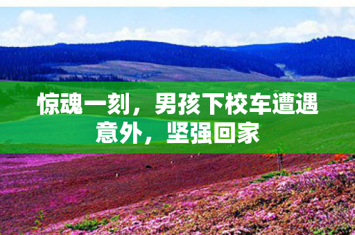 惊魂一刻，男孩下校车遭遇意外，坚强回家