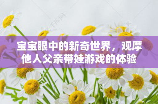 宝宝眼中的新奇世界，观摩他人父亲带娃游戏的体验