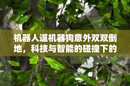 机器人遛机器狗意外双双倒地，科技与智能的碰撞下的新奇体验