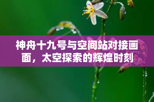 神舟十九号与空间站对接画面，太空探索的辉煌时刻
