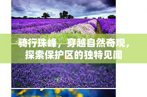 骑行珠峰，穿越自然奇观，探索保护区的独特见闻