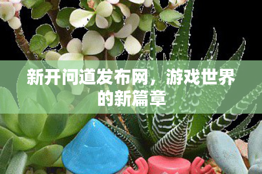 新开问道发布网，游戏世界的新篇章