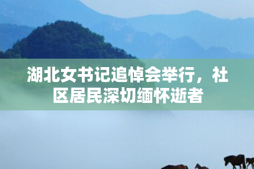 湖北女书记追悼会举行，社区居民深切缅怀逝者