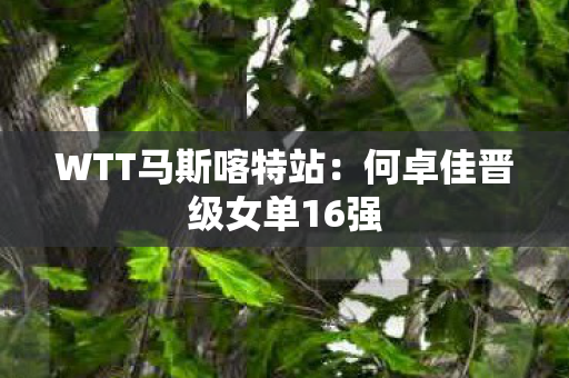 WTT马斯喀特站：何卓佳晋级女单16强