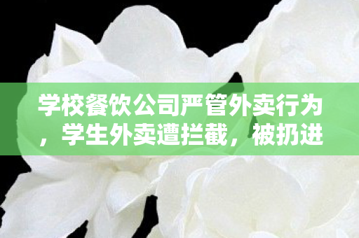 学校餐饮公司严管外卖行为，学生外卖遭拦截，被扔进垃圾桶事件深度解析