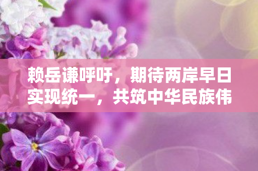赖岳谦呼吁，期待两岸早日实现统一，共筑中华民族伟大复兴梦