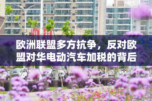 欧洲联盟多方抗争，反对欧盟对华电动汽车加税的背后原因与影响