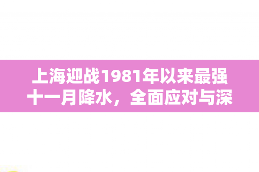 上海迎战1981年以来最强十一月降水，全面应对与深度解析