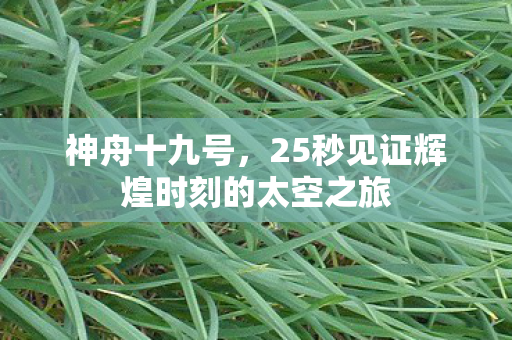 神舟十九号，25秒见证辉煌时刻的太空之旅