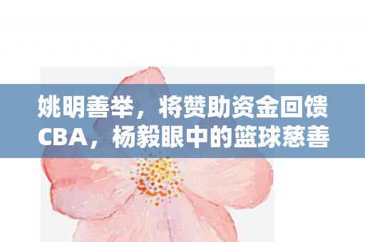 姚明善举，将赞助资金回馈CBA，杨毅眼中的篮球慈善先锋