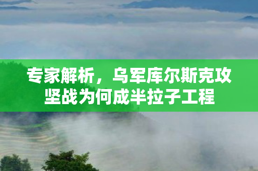 专家解析，乌军库尔斯克攻坚战为何成半拉子工程