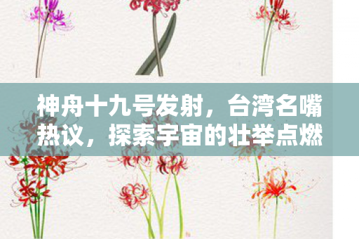 神舟十九号发射，台湾名嘴热议，探索宇宙的壮举点燃宝岛热潮