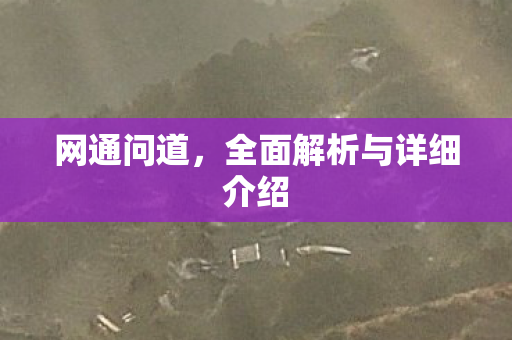 网通问道，全面解析与详细介绍