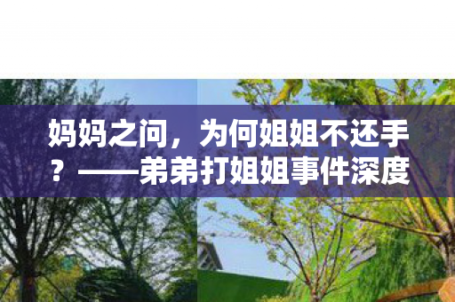 妈妈之问，为何姐姐不还手？——弟弟打姐姐事件深度解析