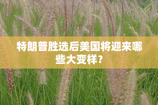 特朗普胜选后美国将迎来哪些大变样？