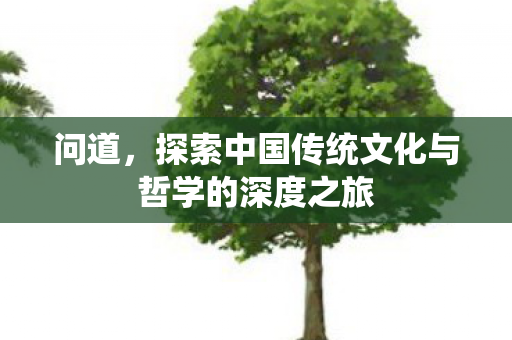 问道，探索中国传统文化与哲学的深度之旅