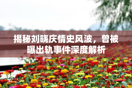 揭秘刘晓庆情史风波，曾被曝出轨事件深度解析