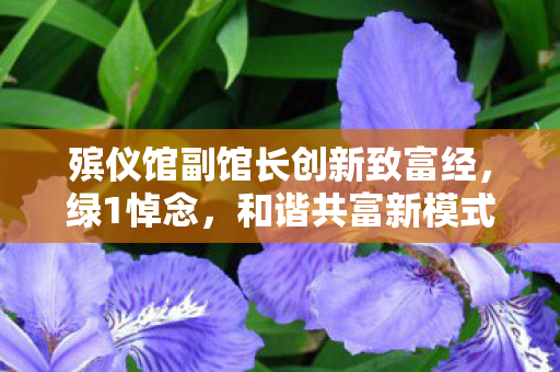殡仪馆副馆长创新致富经，绿1悼念，和谐共富新模式