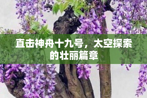 直击神舟十九号，太空探索的壮丽篇章