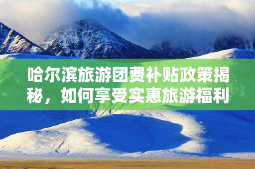 哈尔滨旅游团费补贴政策揭秘，如何享受实惠旅游福利？