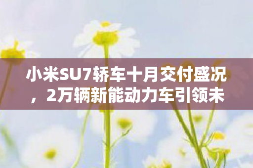 小米SU7轿车十月交付盛况，2万辆新能动力车引领未来出行新篇章
