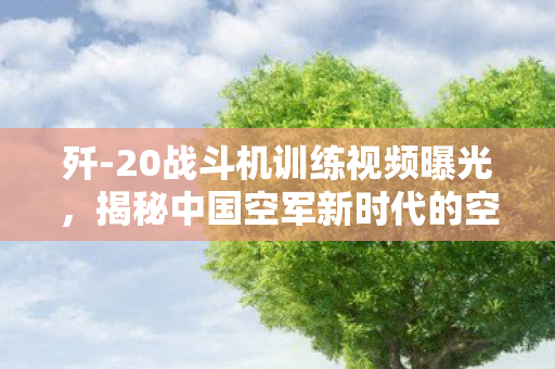 歼-20战斗机训练视频曝光，揭秘中国空军新时代的空中利剑