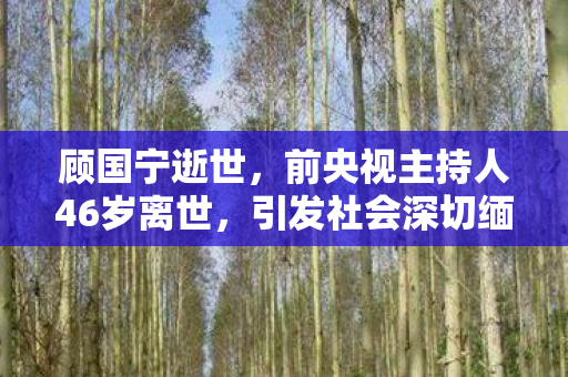顾国宁逝世，前央视主持人46岁离世，引发社会深切缅怀