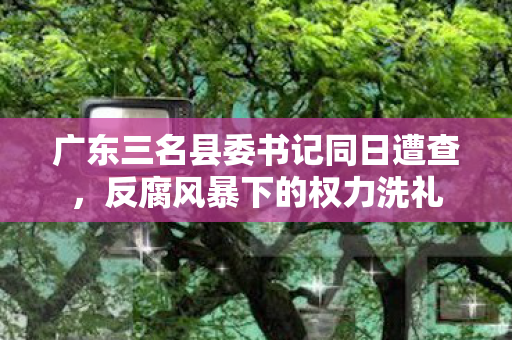 广东三名县委书记同日遭查，反腐风暴下的权力洗礼