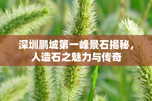 深圳鹏城第一峰景石揭秘，人造石之魅力与传奇