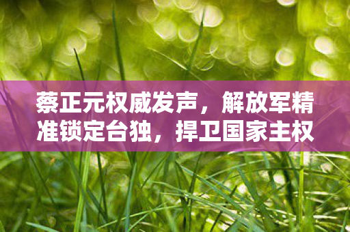 蔡正元权威发声，解放军精准锁定台独，捍卫国家主权不容动摇