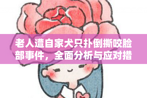 老人遭自家犬只扑倒撕咬脸部事件，全面分析与应对措施