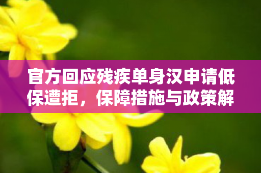 官方回应残疾单身汉申请低保遭拒，保障措施与政策解读