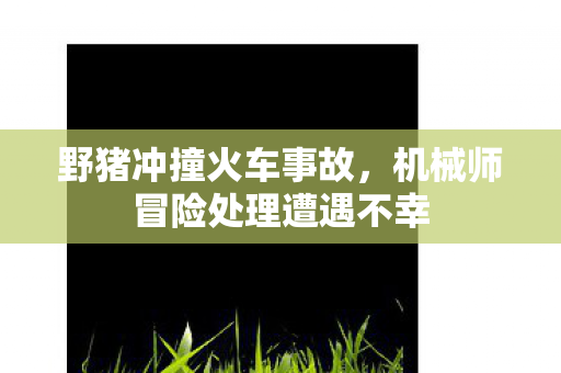 野猪冲撞火车事故，机械师冒险处理遭遇不幸