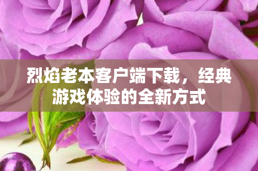 烈焰老本客户端下载，经典游戏体验的全新方式