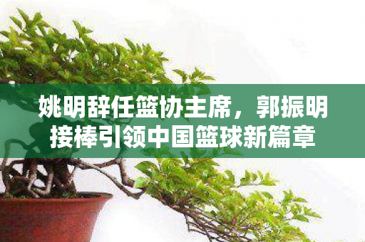 姚明辞任篮协主席，郭振明接棒引领中国篮球新篇章