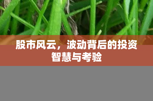 股市风云，波动背后的投资智慧与考验