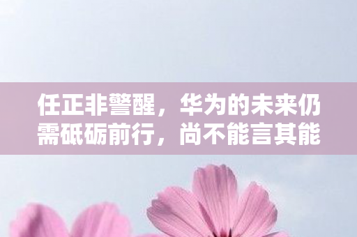 任正非警醒，华为的未来仍需砥砺前行，尚不能言其能安然存活