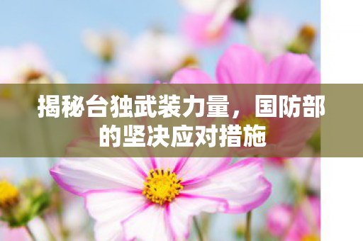 揭秘台独武装力量，国防部的坚决应对措施