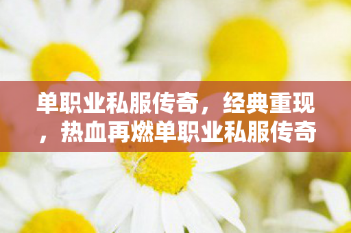 单职业私服传奇，经典重现，热血再燃单职业私服传奇新开传奇不变态的